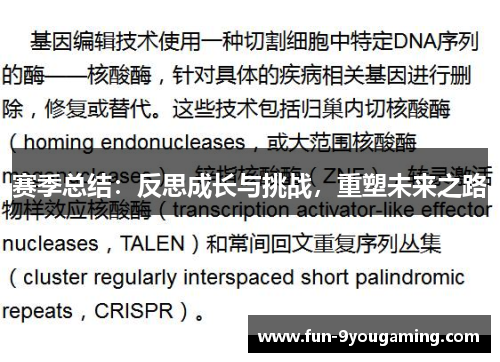 赛季总结：反思成长与挑战，重塑未来之路