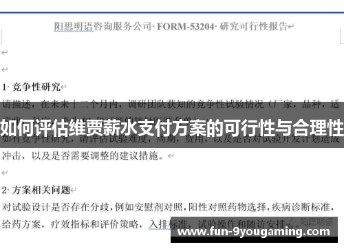 如何评估维贾薪水支付方案的可行性与合理性